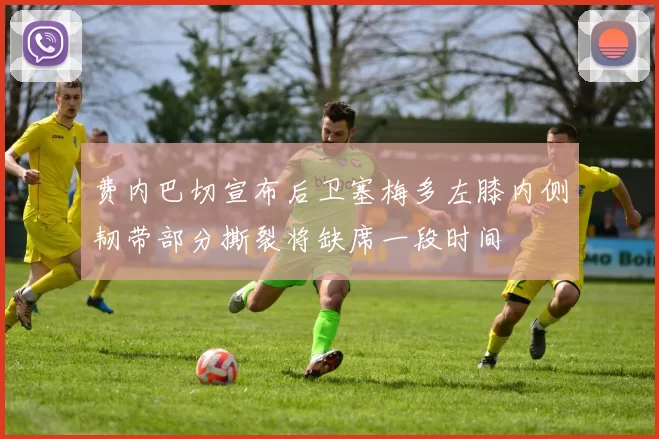 费内巴切宣布后卫塞梅多左膝内侧韧带部分撕裂将缺席一段时间